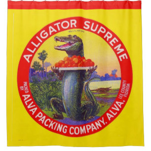 Der Oberste Alligator von Florida Duschvorhang