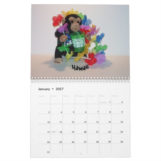 Der offizielle Haustier-Affe-Kalender Kalender (Jan 2027)