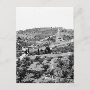 Der Ölberg in Jerusalem Postkarte