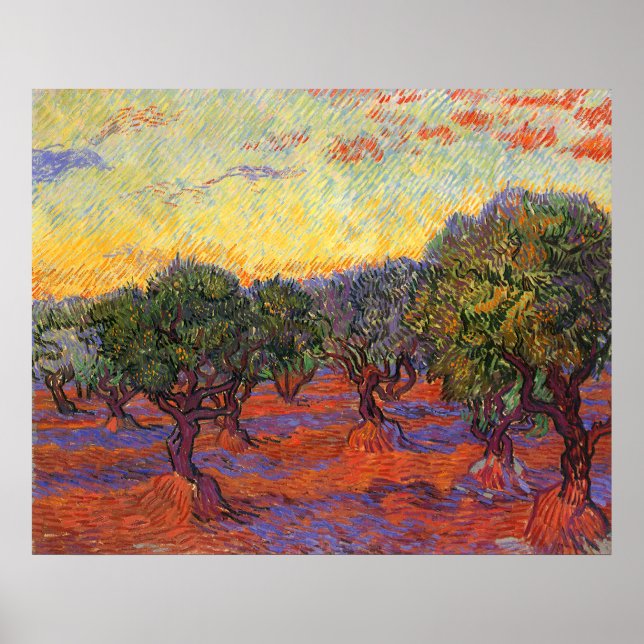 Der Olivenhain, Vincent Van Gogh Poster (Vorne)