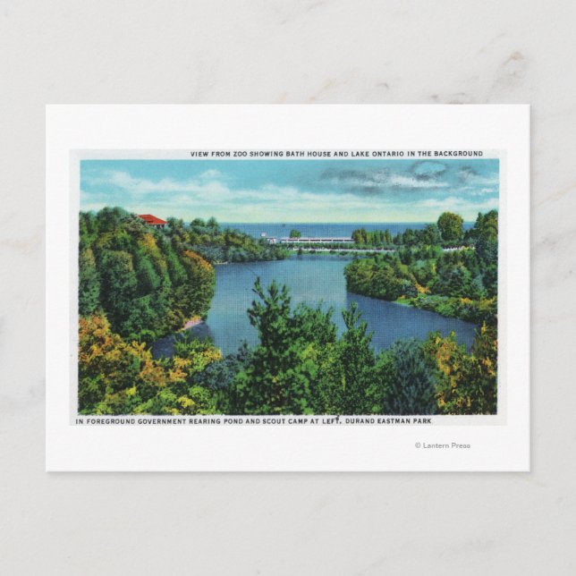 Der Ontariosee & Durand Eastman Park Postkarte (Vorderseite)