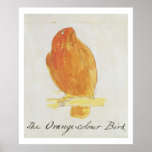 Der orange Farbvogel, von 'sechzehn Zeichnungen Poster