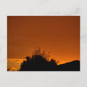 Der orange Himmel Postkarte