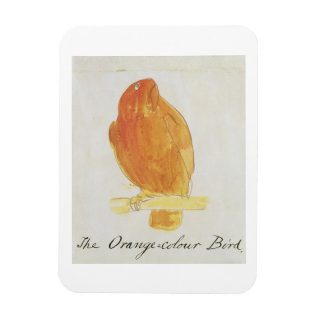 Der orangefarbene Vogel, von 'Sechzehn Zeichnungen Magnet (Vertikal)