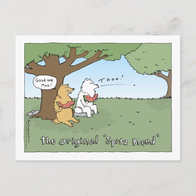 Der originelle Cartoon der "Spitz-Rasse" Postkarte (Vorderseite)