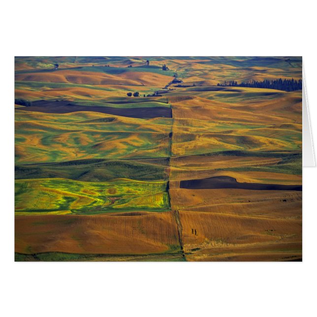 Der Palast von Steptoe Butte, Colfax, (Vorderseite (Horizontal))