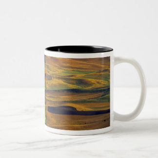 Der Palast von Steptoe Butte, Colfax, Zweifarbige Tasse