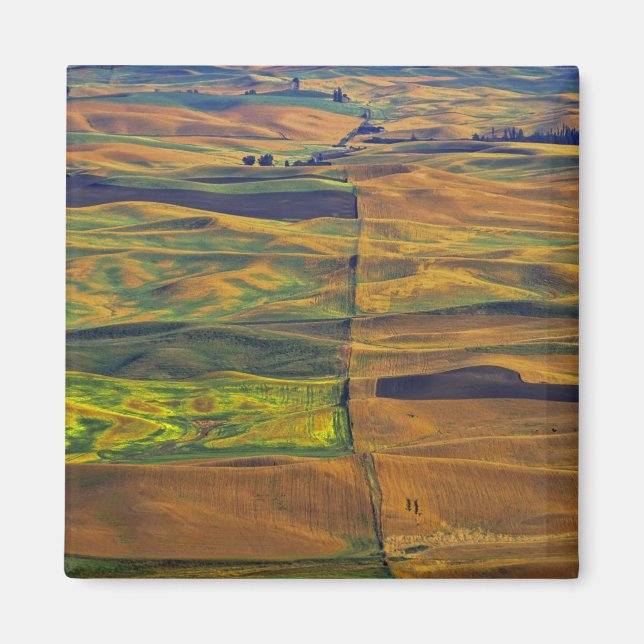 Der Palouse von Steptoe Butte, Colfax, Magnet (Vorne)
