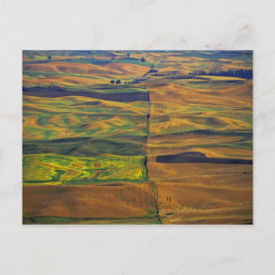 Der Palouse von Steptoe Butte, Colfax, Postkarte