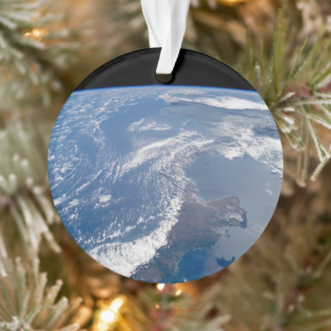 Der Panamakanal. Ornament (Baum)