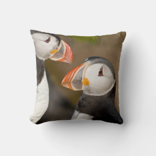 Der Papageitaucher Kissen