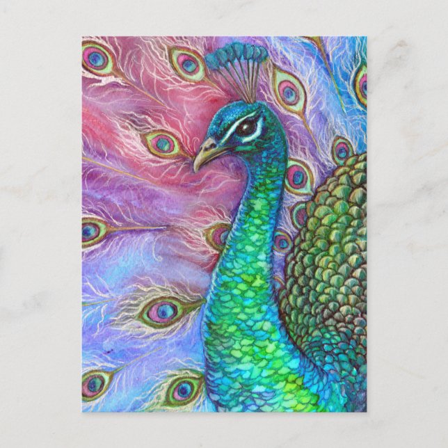 Der perfekte Pfau. Postkarte (Vorderseite)