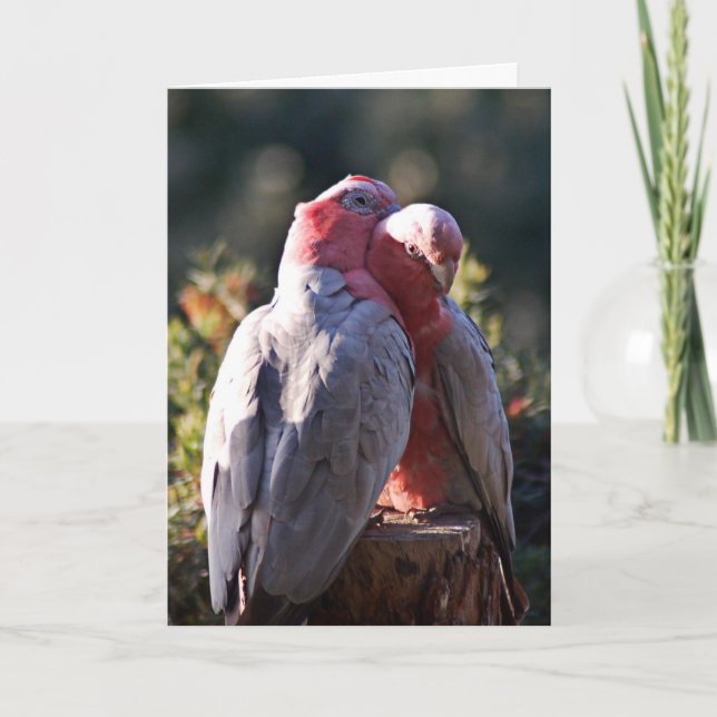 Der perfekte Tag - Valentine Feiertagskarte (Vorderseite)