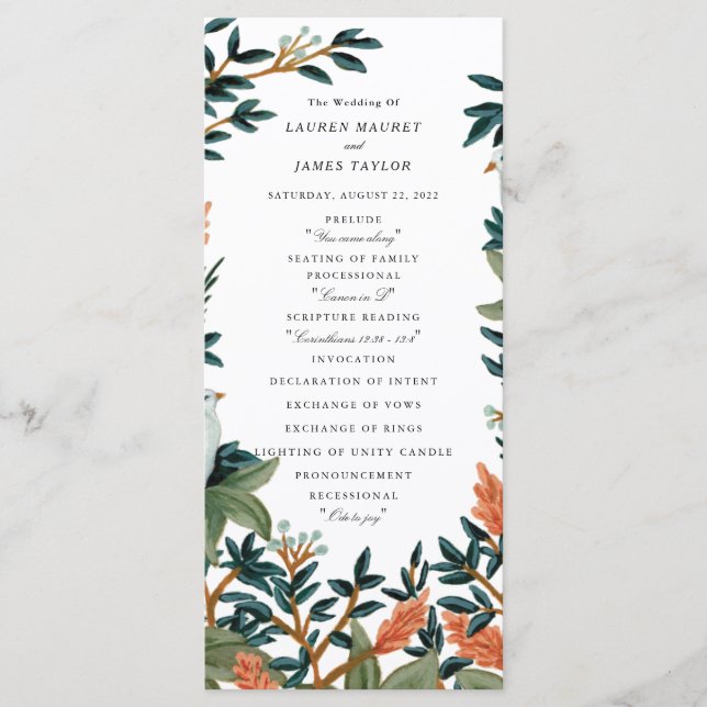 Der Pfau Programm (Vorderseite)