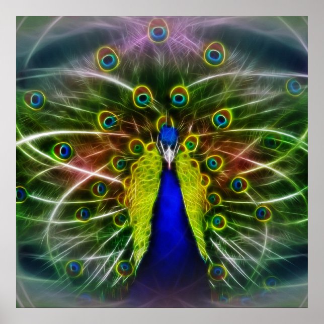 Der Pfauendreamcatcher Poster (Vorne)