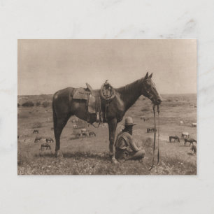Der Pferdehirte 1910 Postkarte