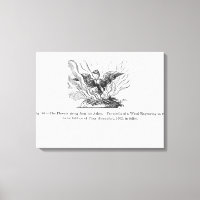 Der Phoenix, der aus seiner Asche aufsteigt