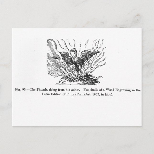 Der Phoenix, der aus seiner Asche aufsteigt Postkarte (Vorderseite)