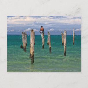 Der Pier am Strand von Coqueiros in Trancoso Postkarte