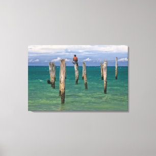 Der Pier in Coqueiros Strand in Trancoso Leinwanddruck