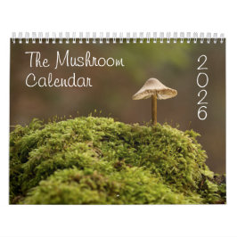 Der Pilzkalender für 2025 Schöne Fotos Kalender