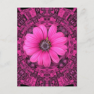 DER PINK DAISY POSTKARTE