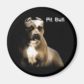 Der PITbull Magnet