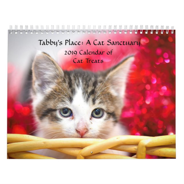 Der Platz-Kalender des Tabbys Kalender (Titelbild)