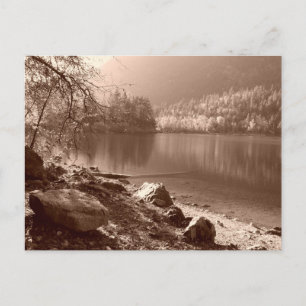 Der Pool Postkarte