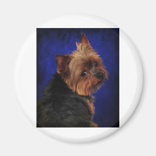 Der Poser Magnet