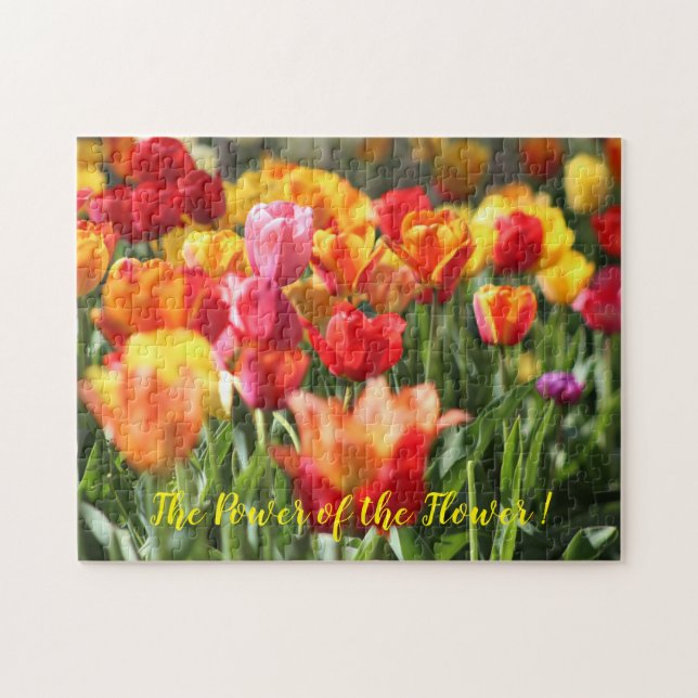 Der Power der Blume (Horizontal)