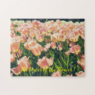 Der Power der Blume