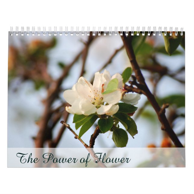 Der Power der Blume Kalender (Titelbild)