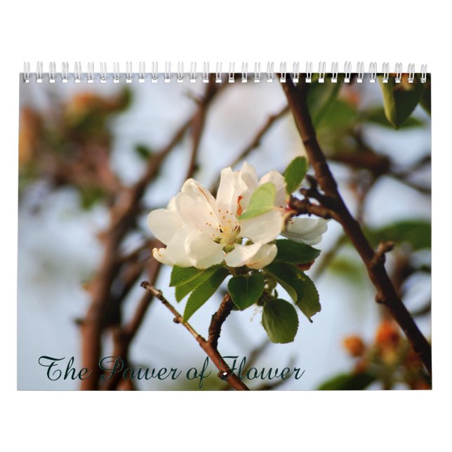 Der Power der Blume Kalender (Titelbild)