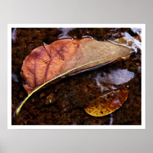 der Prospektor Poster