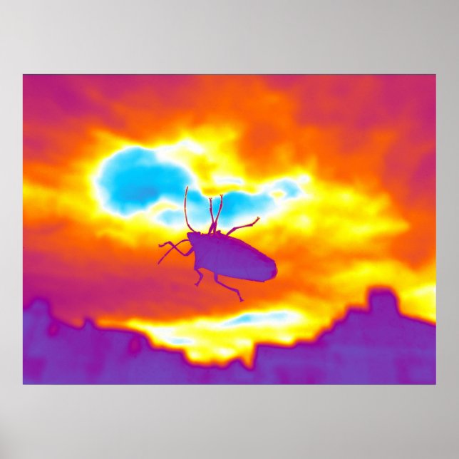 Der psychedelische Fehler Poster (Vorne)
