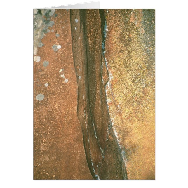 Der Punkt #1 des Künstlers (Vorne)