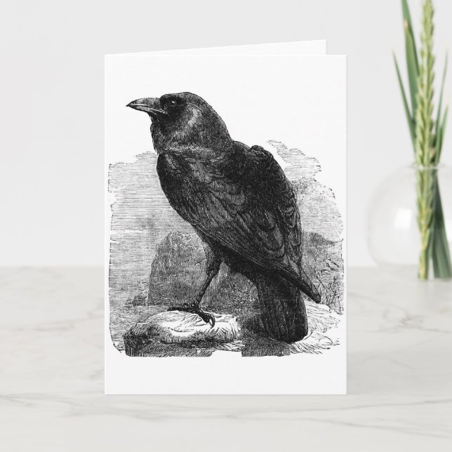 Der Rabe Karte (Vorderseite)