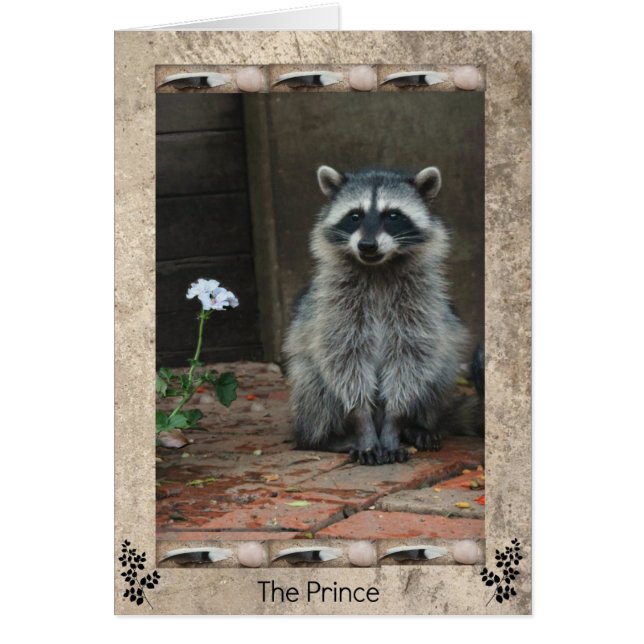 Der Raccoon-Prinz (Vorne)