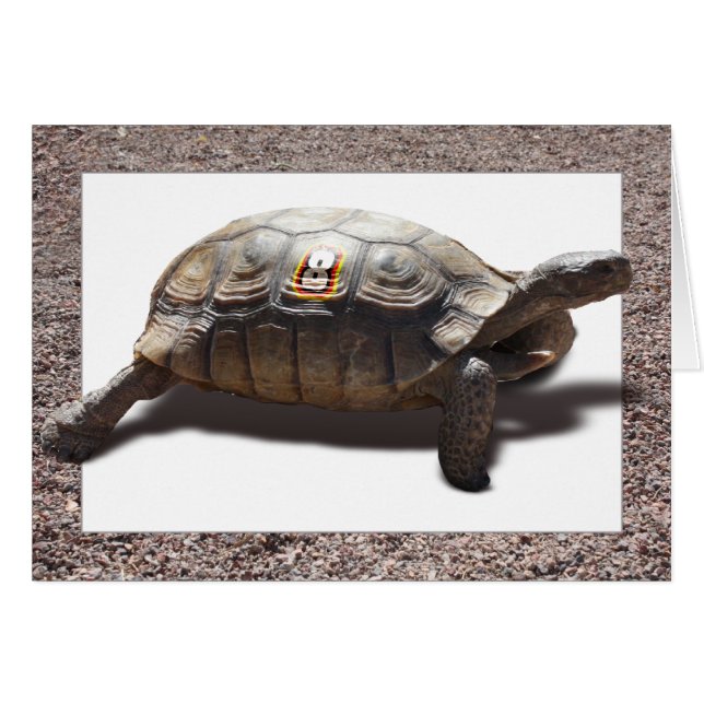 Der Racer (Vorderseite (Horizontal))