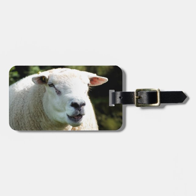 Der RAM Gepäckanhänger (Vorderseite horizontal)