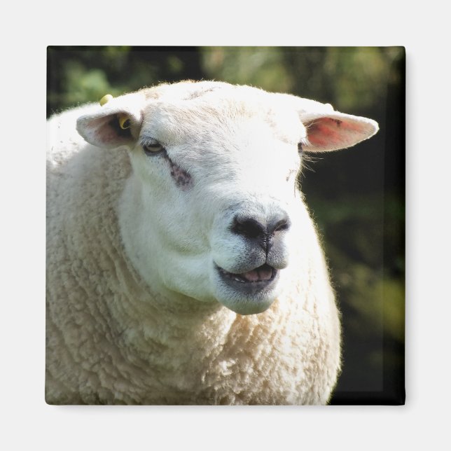 Der RAM Magnet (Vorne)