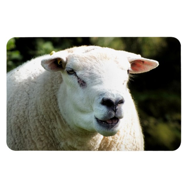 Der RAM Magnet (Horizontal)