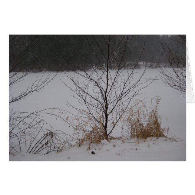 Der Rand des Sees, Winter (Vorderseite (Horizontal))