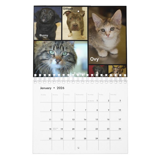 Der Rand-menschliche Gesellschaft 2012 des Kalender (Jan 2026)