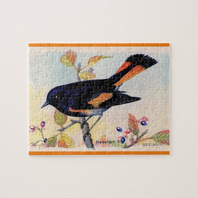 Der Redstart-Vogel (Horizontal)