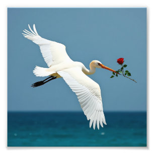 Der reisende Vogel Fotodruck