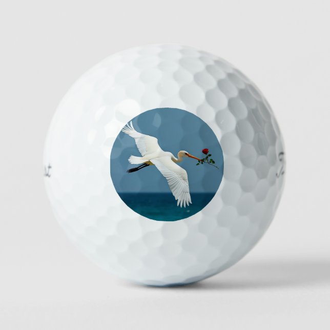 Der reisende Vogel Golfball (Vorderseite)