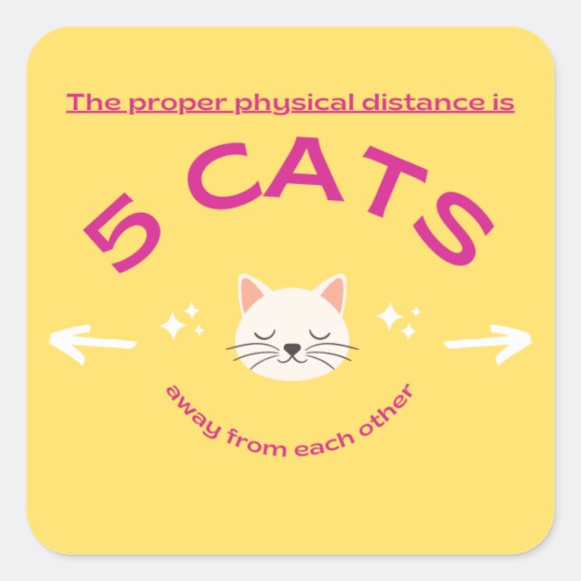 Der richtige physische Abstand ist 5 CATS Quadratischer Aufkleber (Vorderseite)