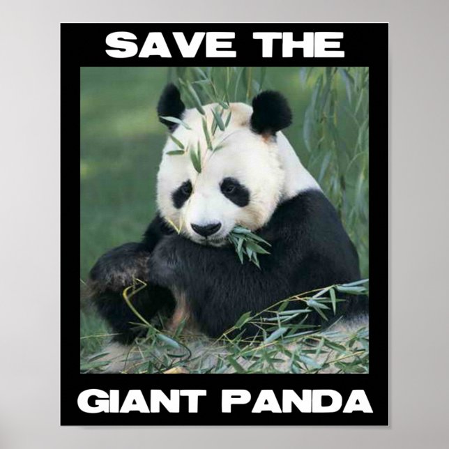 Der Riesenpanda gerettet Poster (Vorne)
